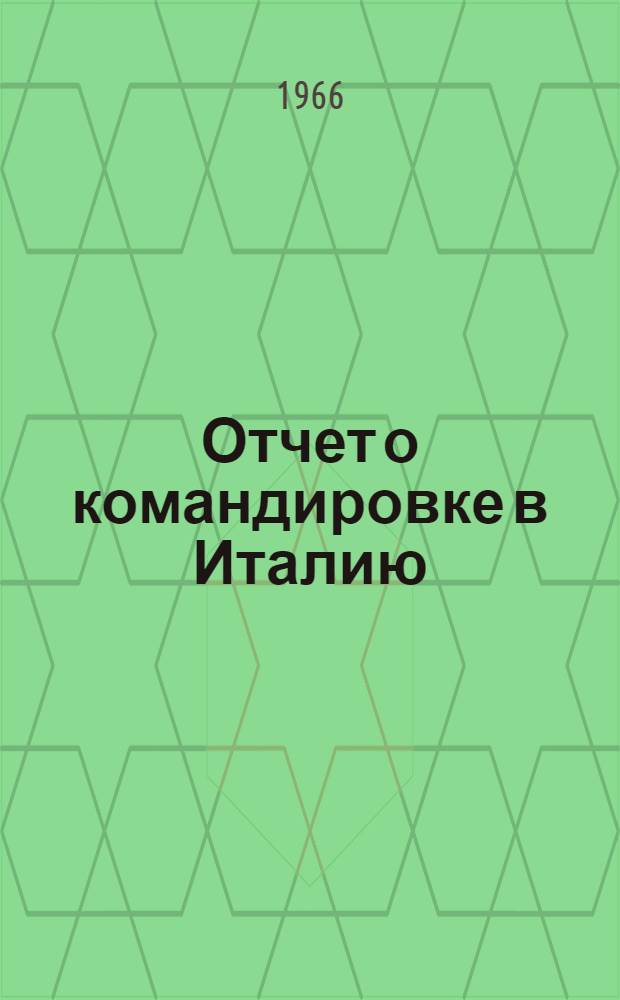 Отчет о командировке в Италию