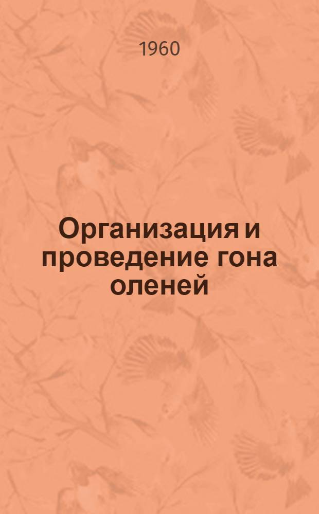 Организация и проведение гона оленей