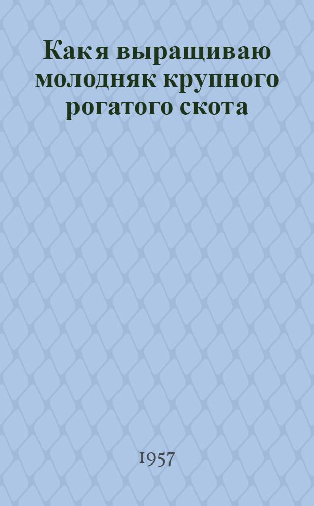 Как я выращиваю молодняк крупного рогатого скота