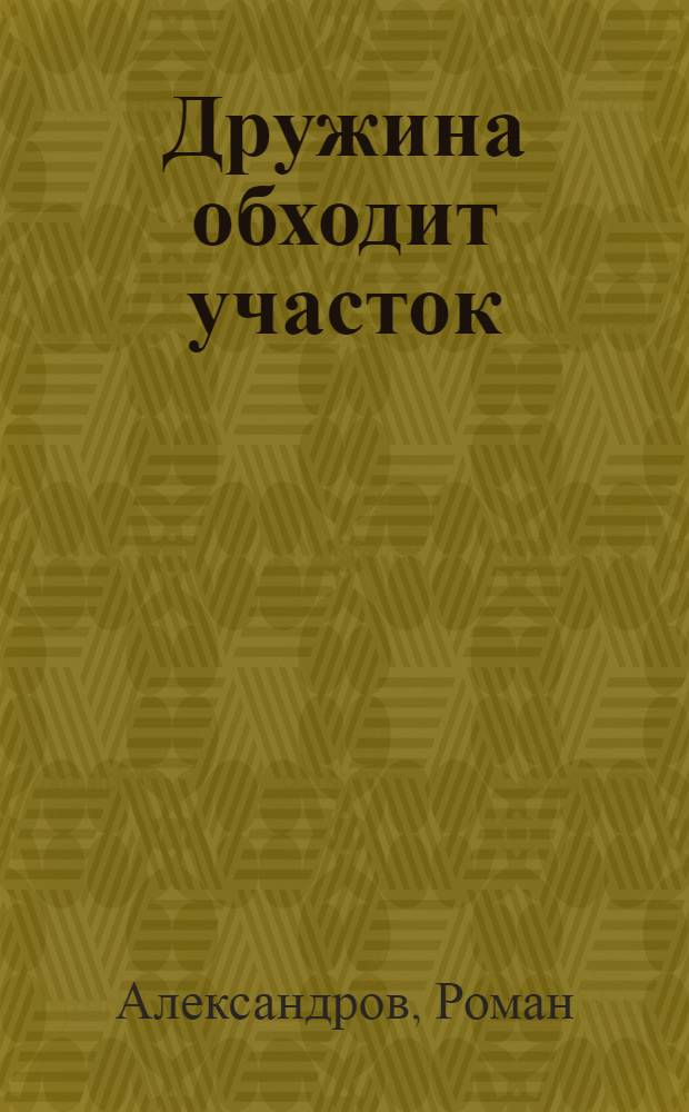 Дружина обходит участок