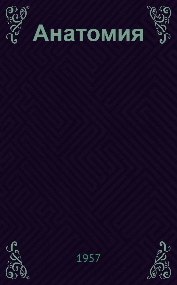 Анатомия