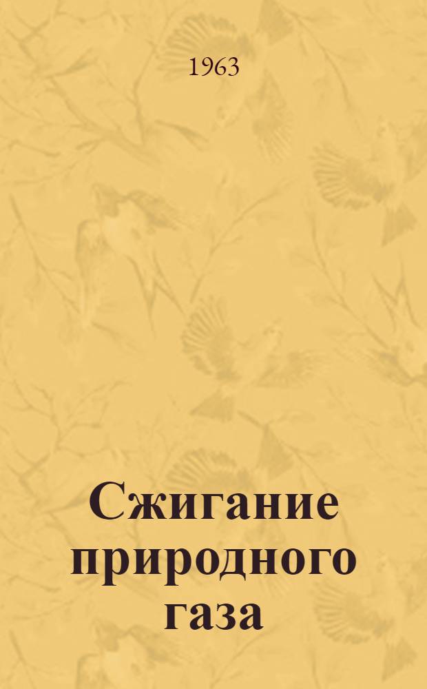 Сжигание природного газа