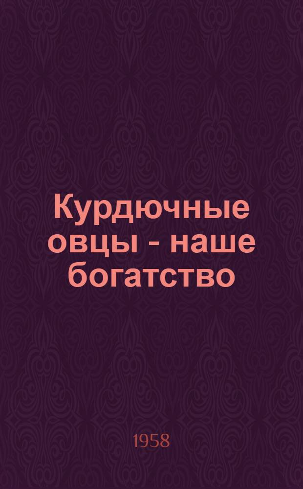 Курдючные овцы - наше богатство