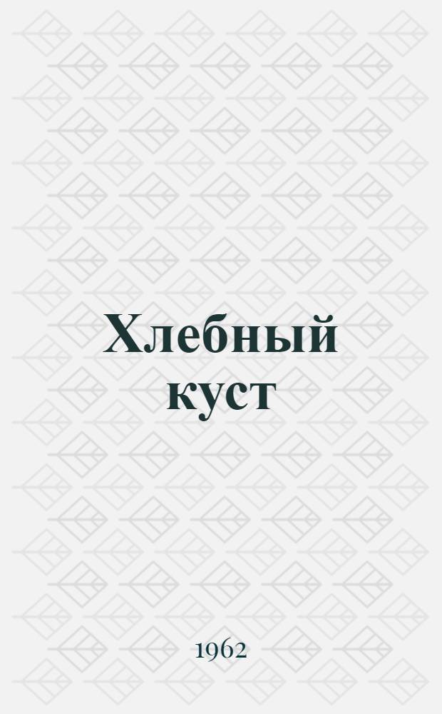 Хлебный куст
