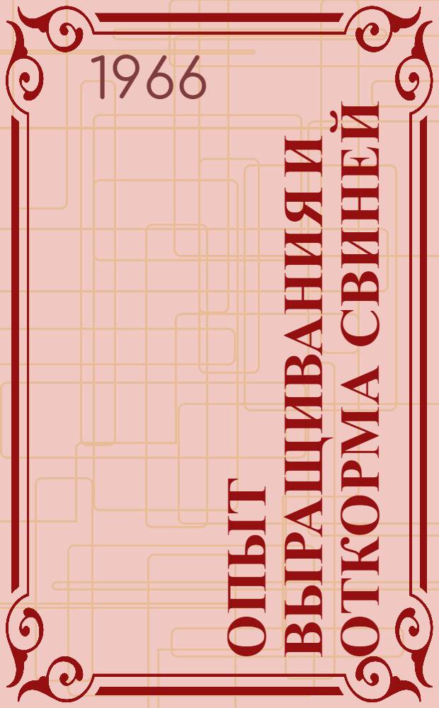 Опыт выращивания и откорма свиней