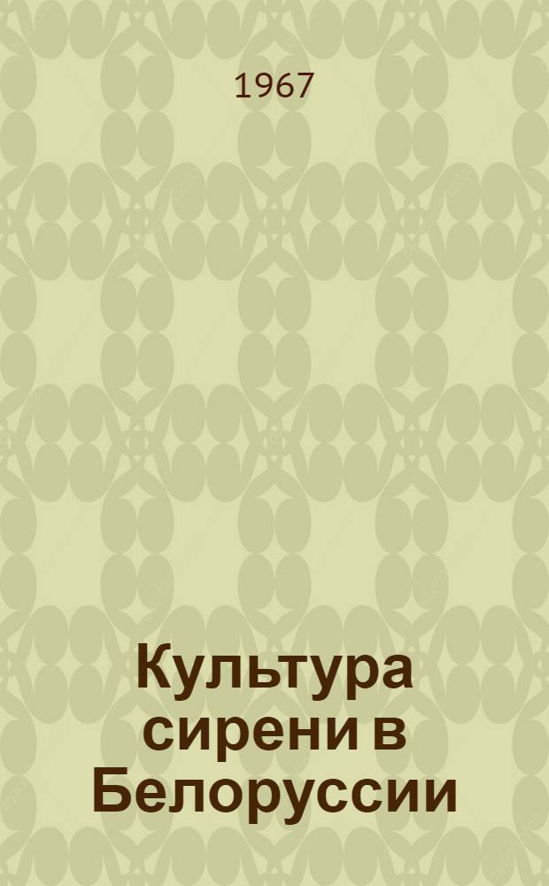 Культура сирени в Белоруссии