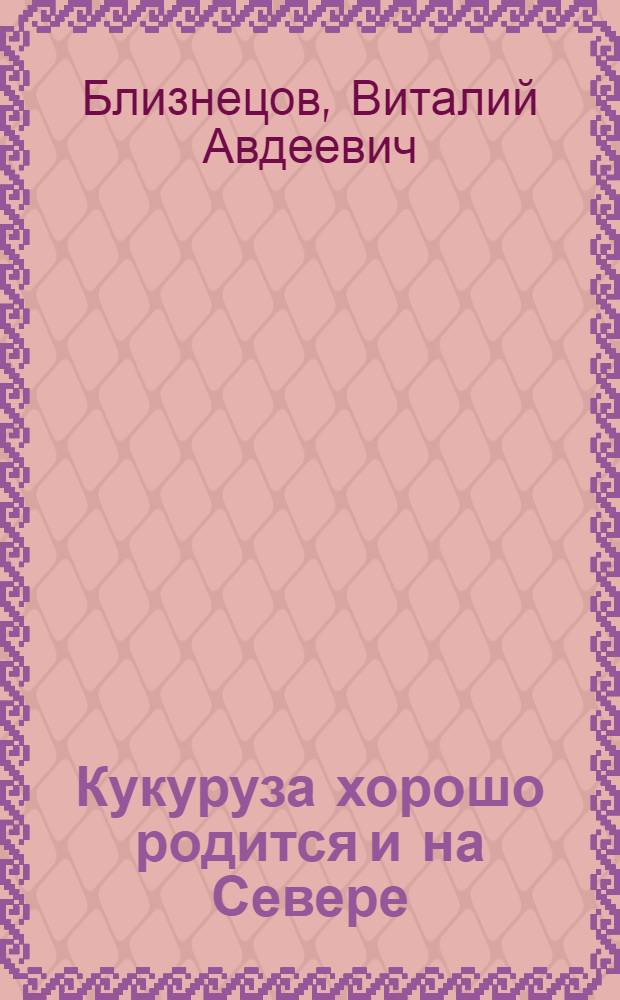 Кукуруза хорошо родится и на Севере