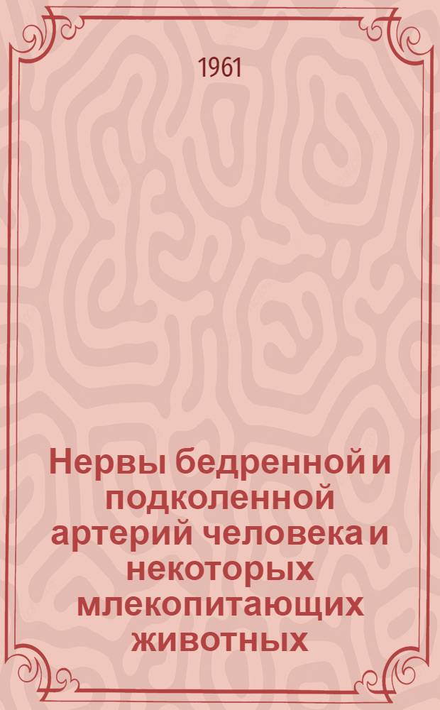 Нервы бедренной и подколенной артерий человека и некоторых млекопитающих животных : (Морфол. и эксперим. данные) : Автореферат дис. на соискание учен. степени кандидата мед. наук