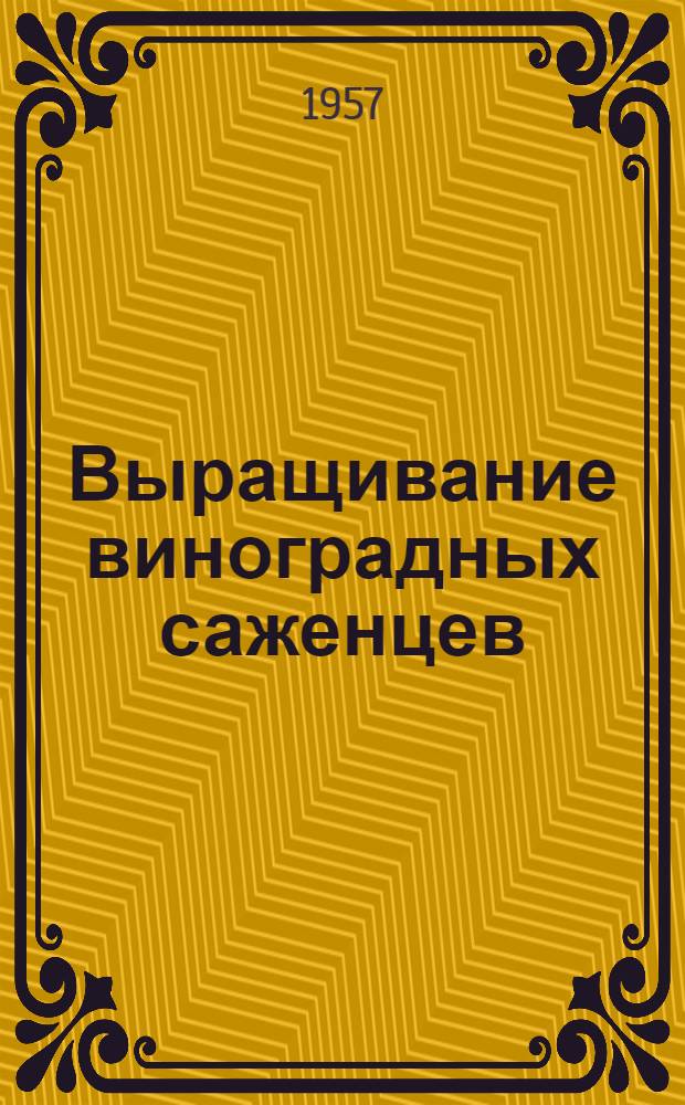 Выращивание виноградных саженцев