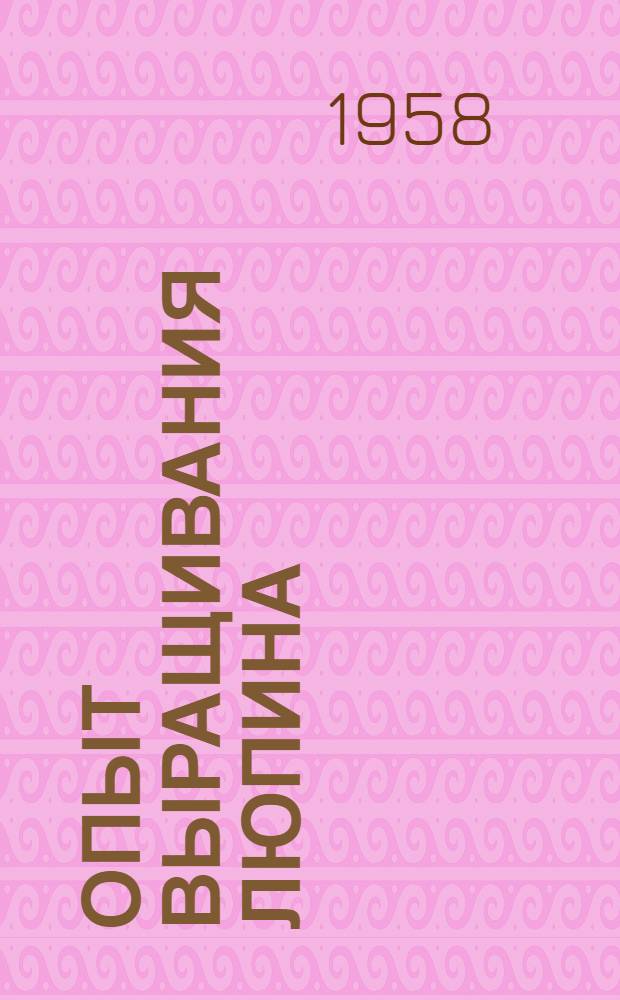 Опыт выращивания люпина