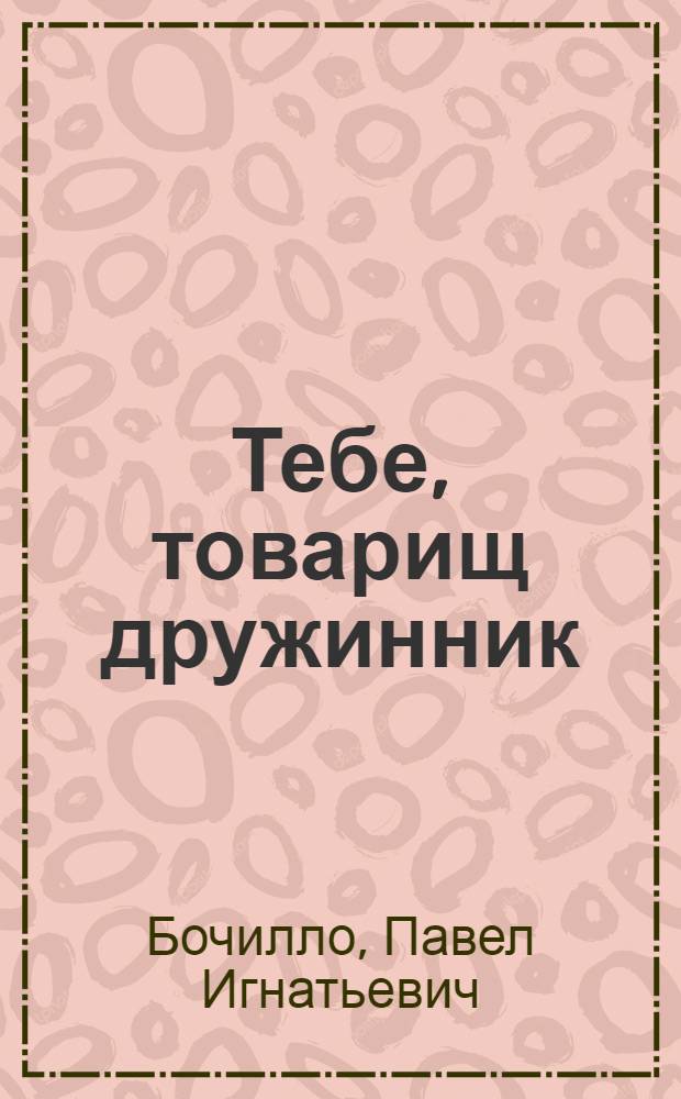 Тебе, товарищ дружинник