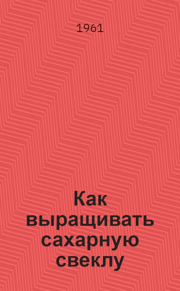 Как выращивать сахарную свеклу