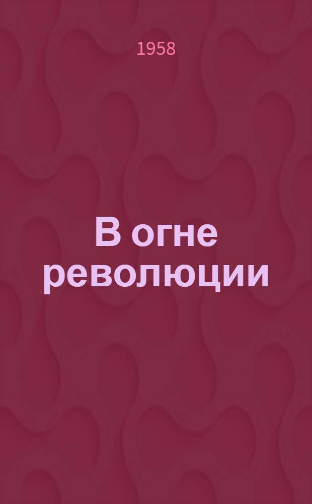 В огне революции : Очерки, статьи и воспоминания о событиях 1918-1922 гг. в Амурской обл