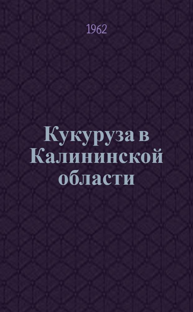 Кукуруза в Калининской области