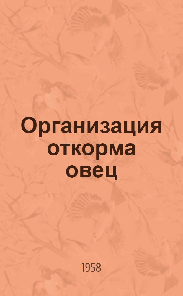 Организация откорма овец