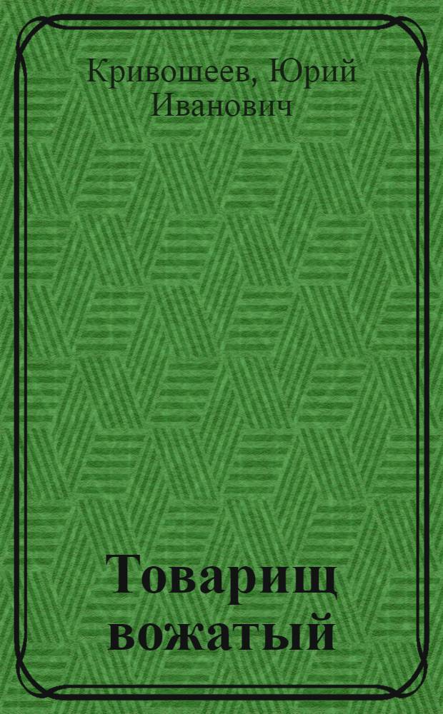 Товарищ вожатый