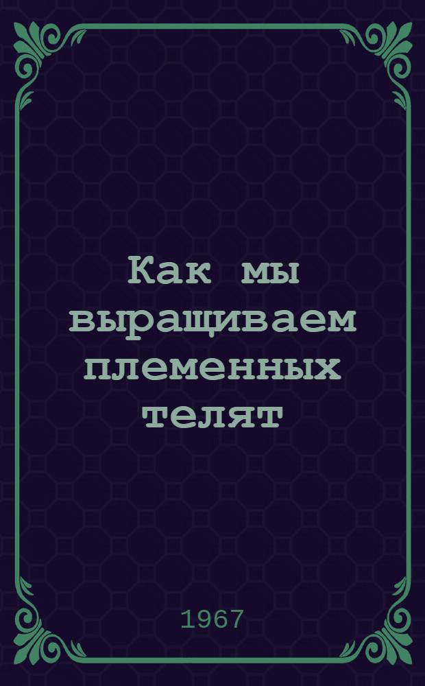 Как мы выращиваем племенных телят