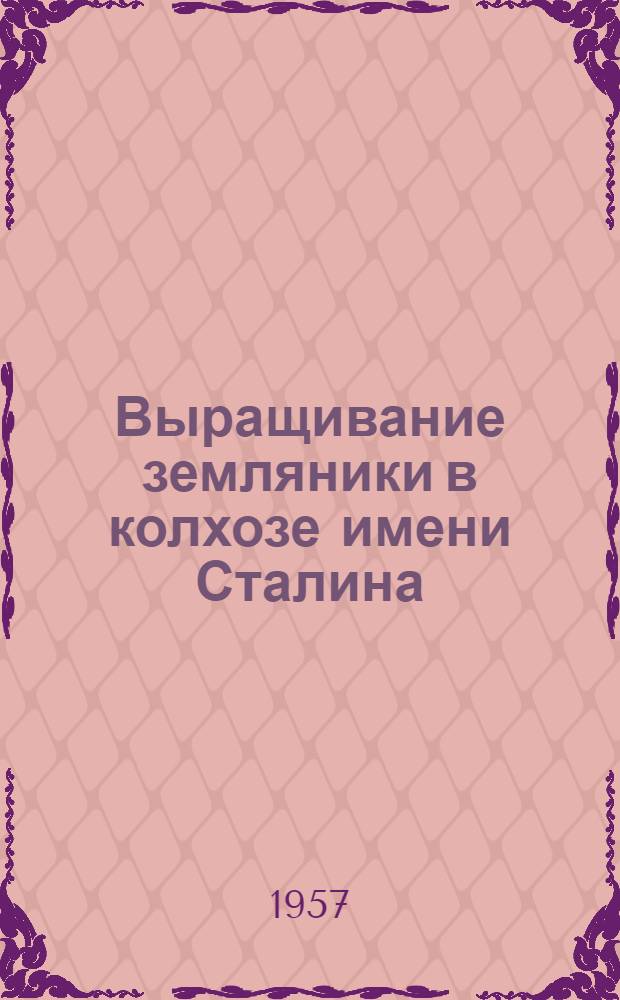 Выращивание земляники в колхозе имени Сталина : Лужский район