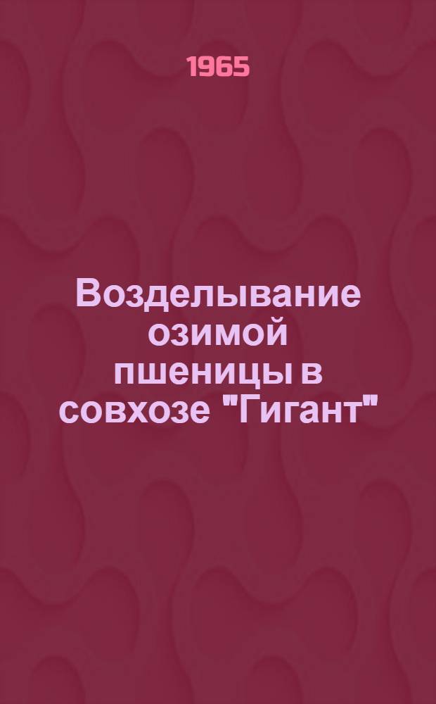 Возделывание озимой пшеницы в совхозе "Гигант"