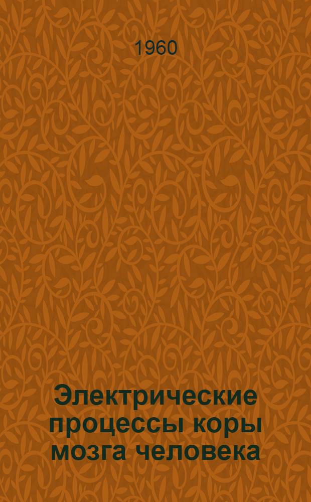 Электрические процессы коры мозга человека