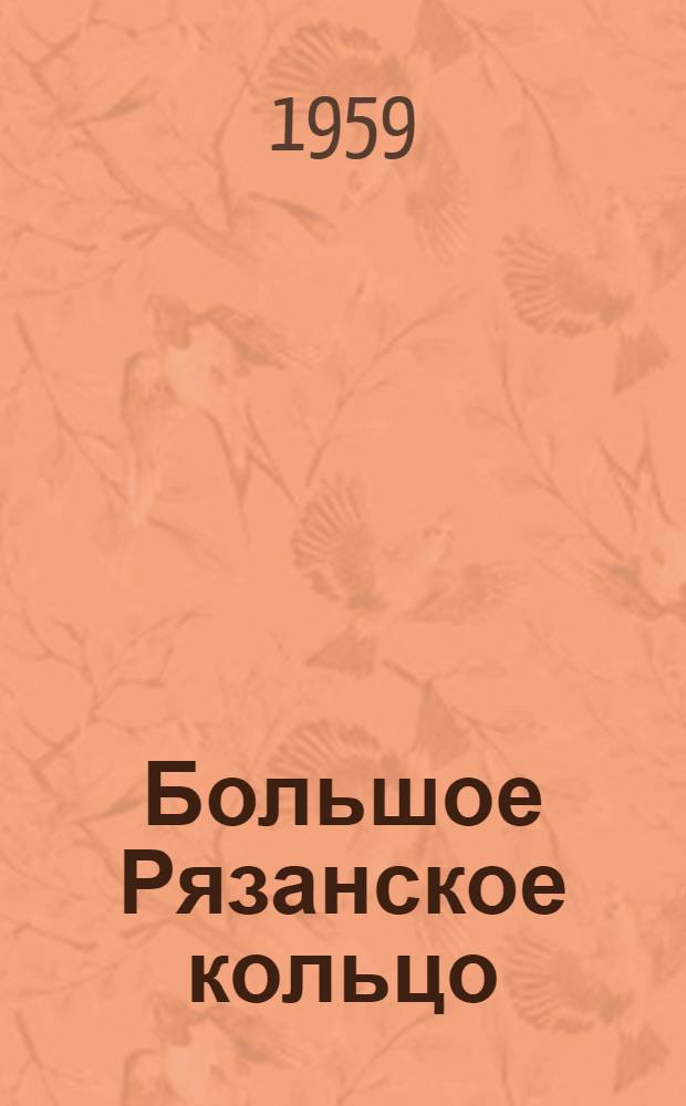 Большое Рязанское кольцо : Из опыта строительства автомоб. дороги методом нар. стройки