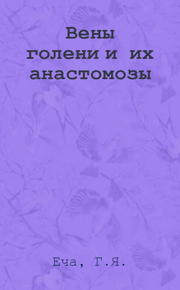 Вены голени и их анастомозы : Автореферат дис. на соискание учен. степени кандидата мед. наук