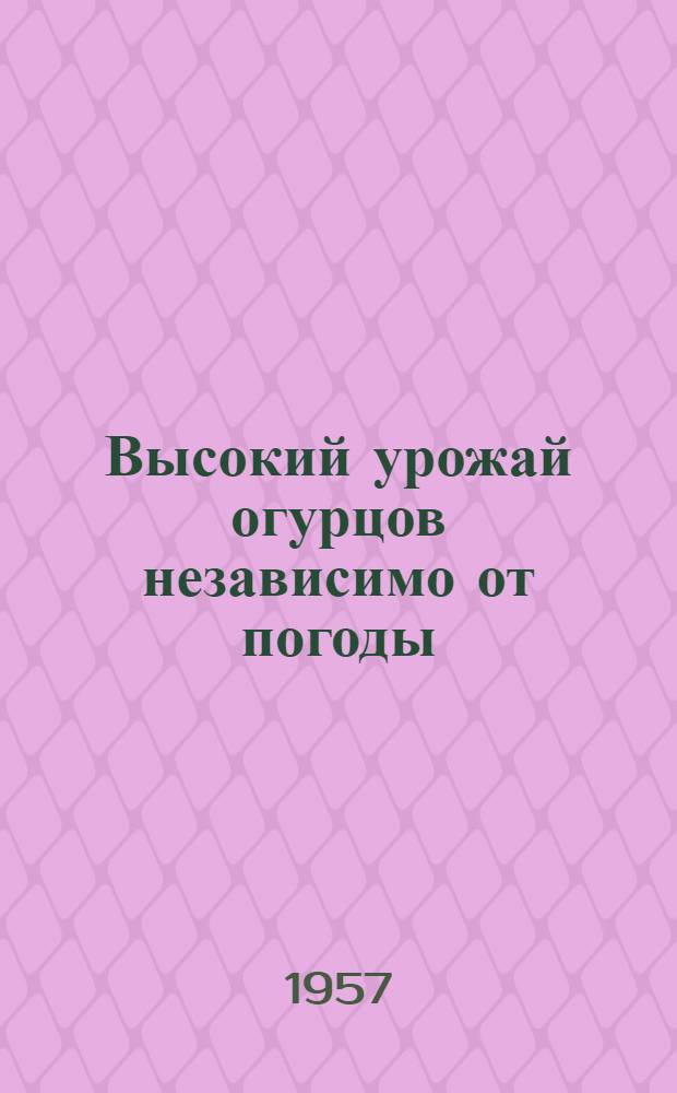Высокий урожай огурцов независимо от погоды