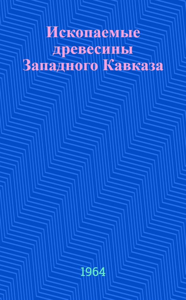 Ископаемые древесины Западного Кавказа : Автореферат дис. на соискание учен. степени кандидата биол. наук
