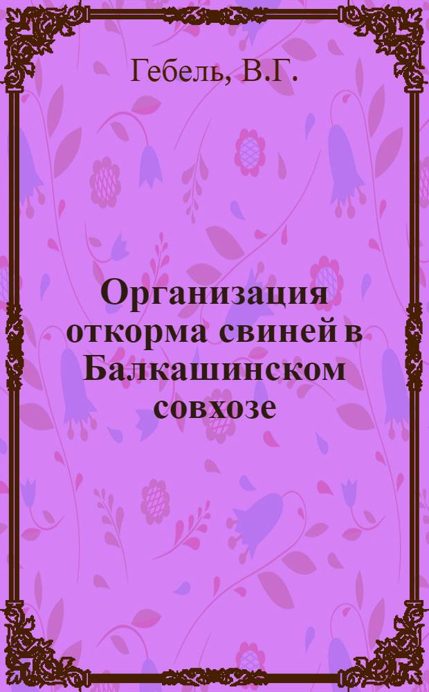 Организация откорма свиней в Балкашинском совхозе