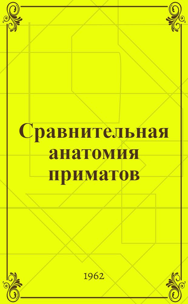 Сравнительная анатомия приматов (включая человека)