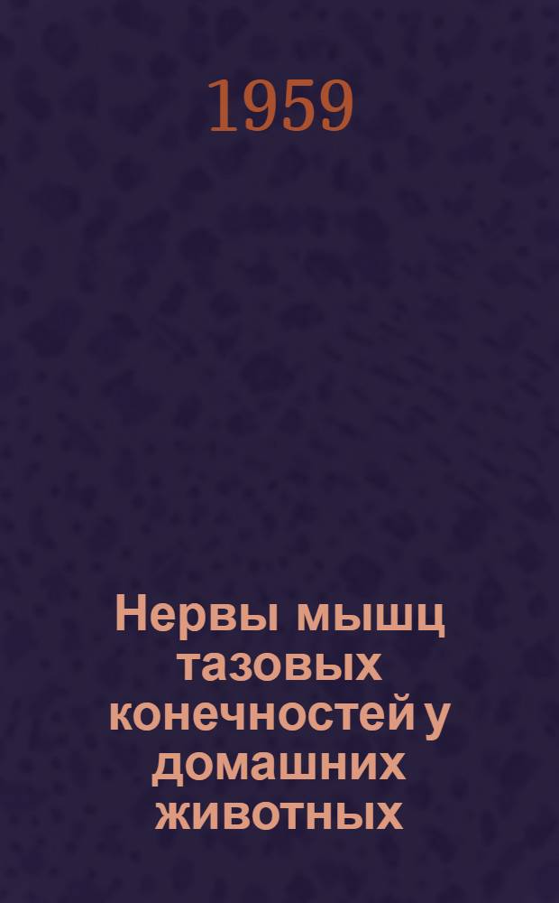 Нервы мышц тазовых конечностей у домашних животных : Автореферат дис. на соискание учен. степени кандидата биол. наук