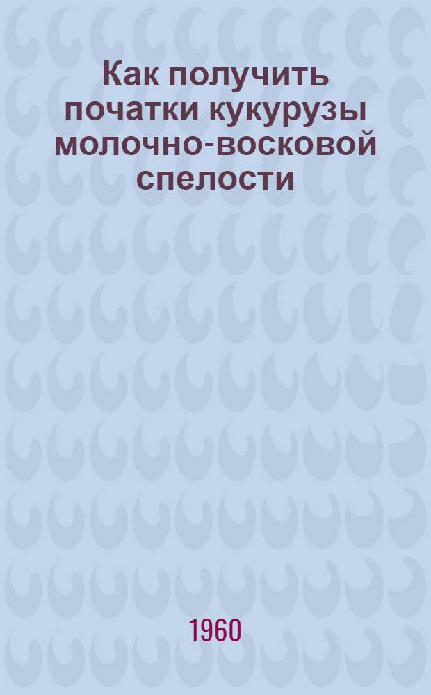 Как получить початки кукурузы молочно-восковой спелости