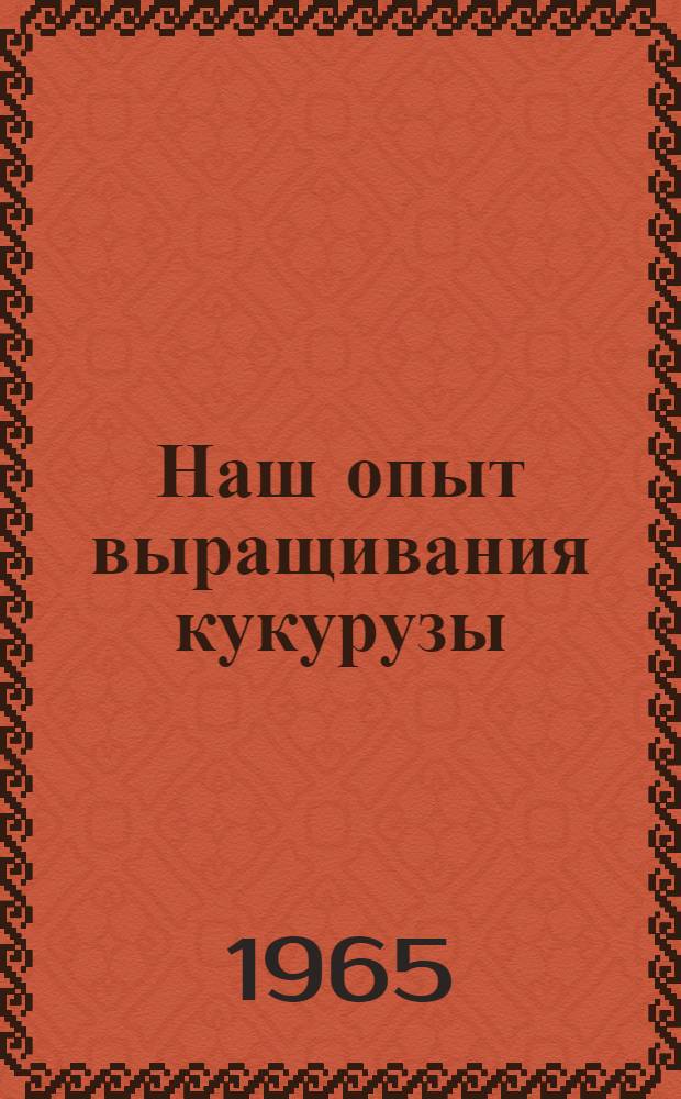 Наш опыт выращивания кукурузы