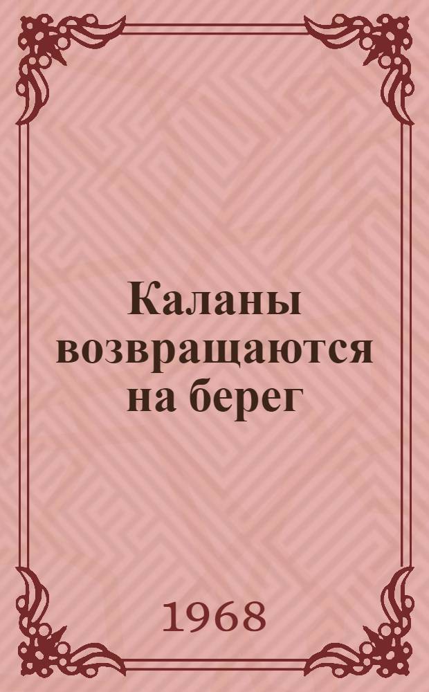 Каланы возвращаются на берег
