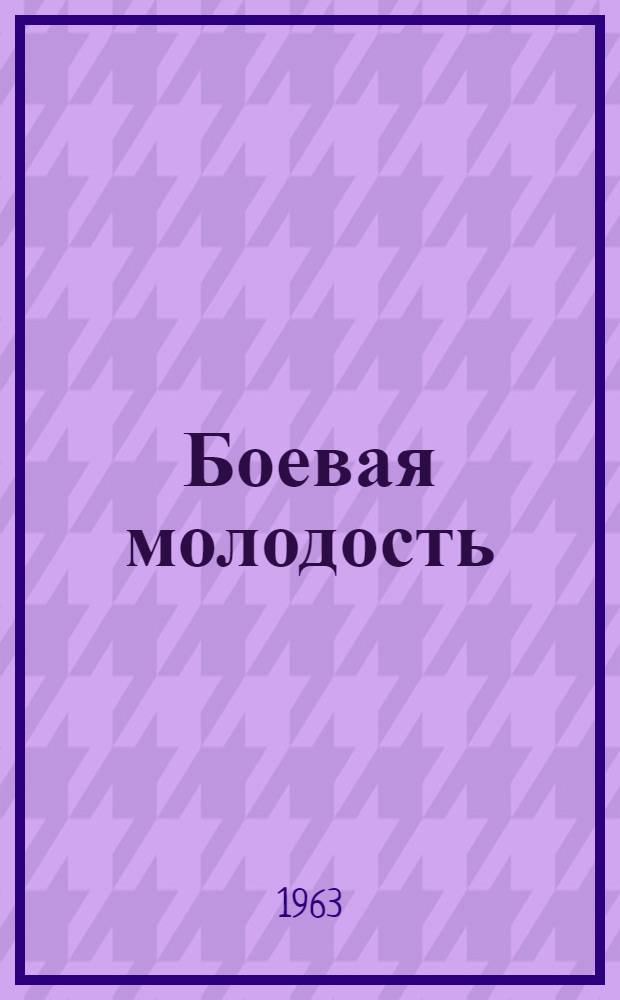 Боевая молодость : Из истории комсомола Горного Алтая. (1920-1940 гг.)