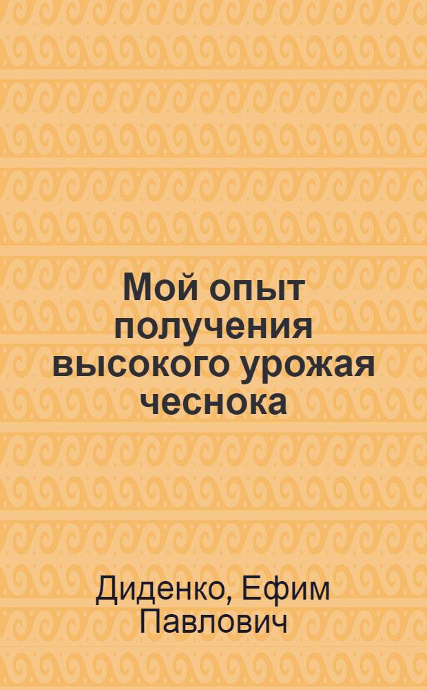 Мой опыт получения высокого урожая чеснока