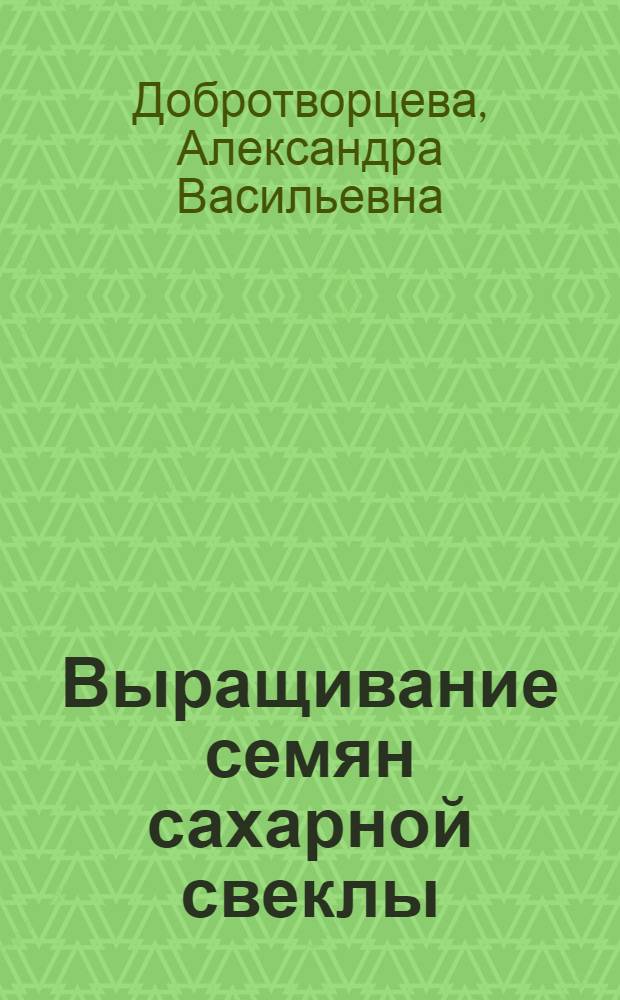 Выращивание семян сахарной свеклы