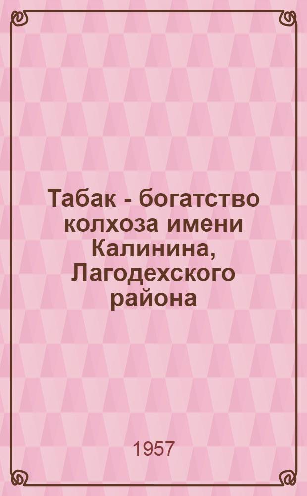 Табак - богатство колхоза [имени Калинина, Лагодехского района