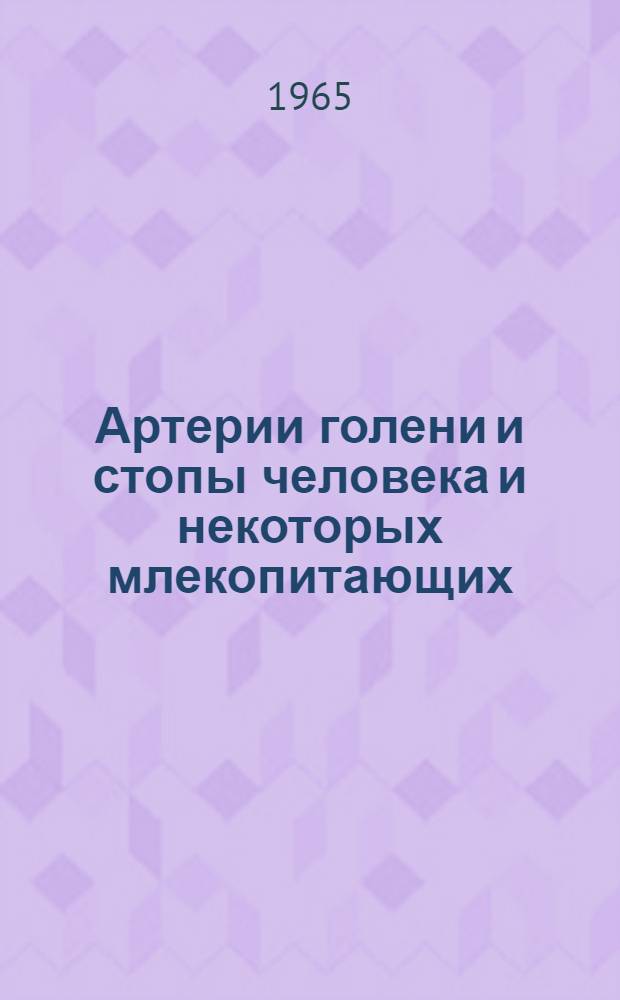 Артерии голени и стопы человека и некоторых млекопитающих : Автореферат дис. на соискание учен. степени кандидата мед. наук