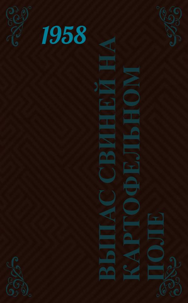 Выпас свиней на картофельном поле