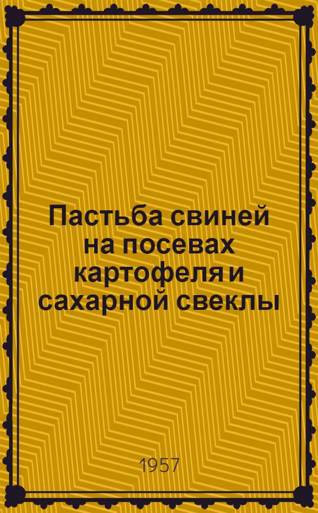 Пастьба свиней на посевах картофеля и сахарной свеклы