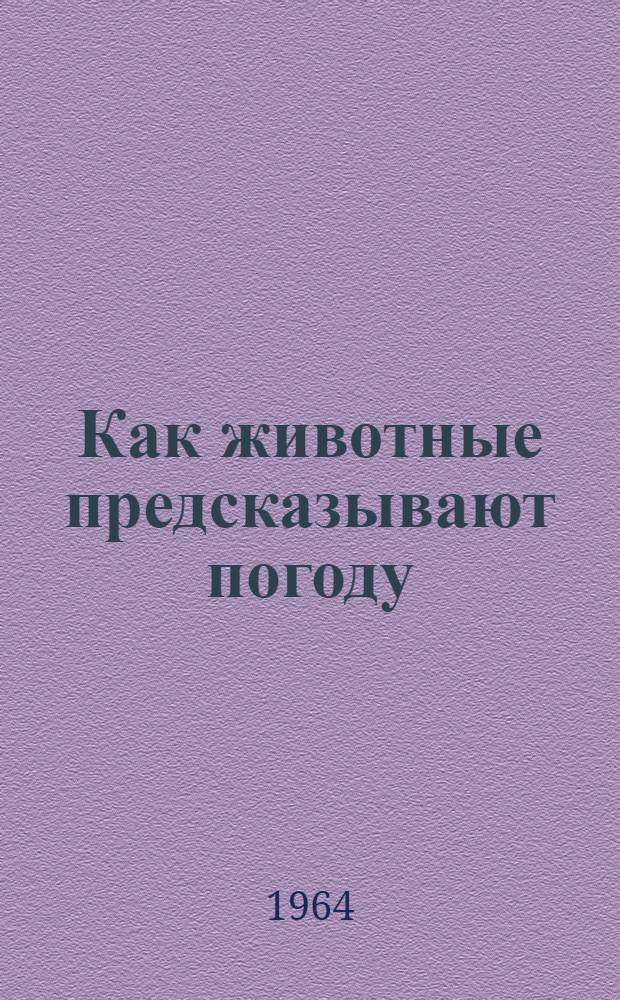 Как животные предсказывают погоду