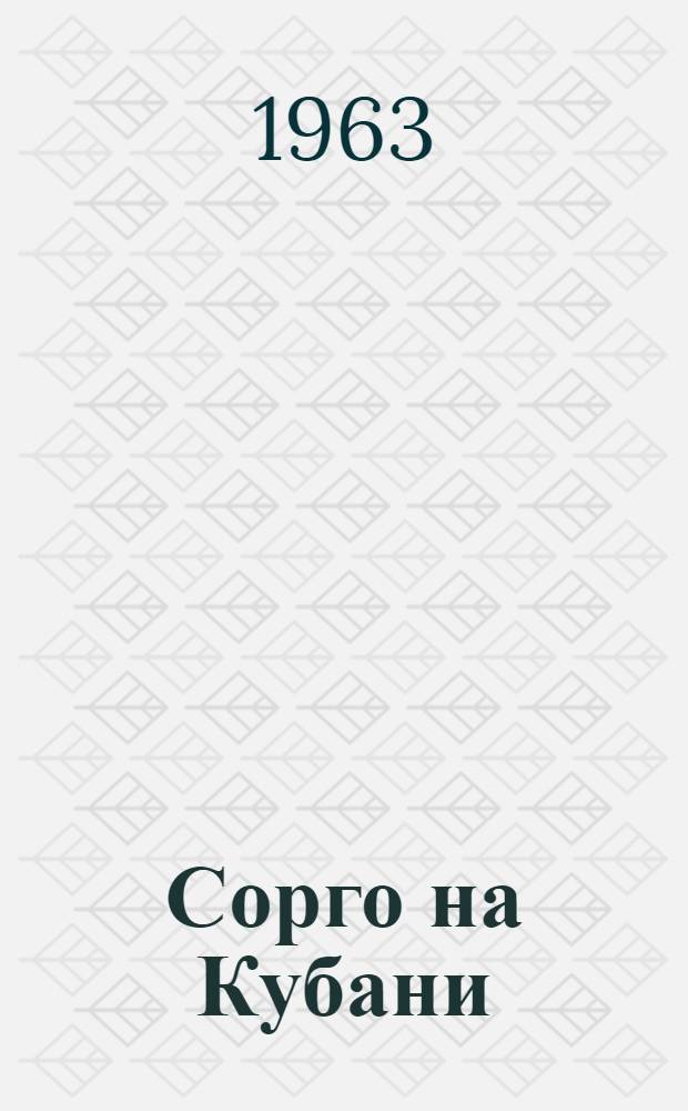 Сорго на Кубани