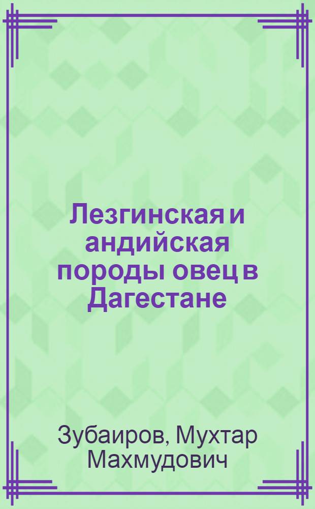 Лезгинская и андийская породы овец в Дагестане