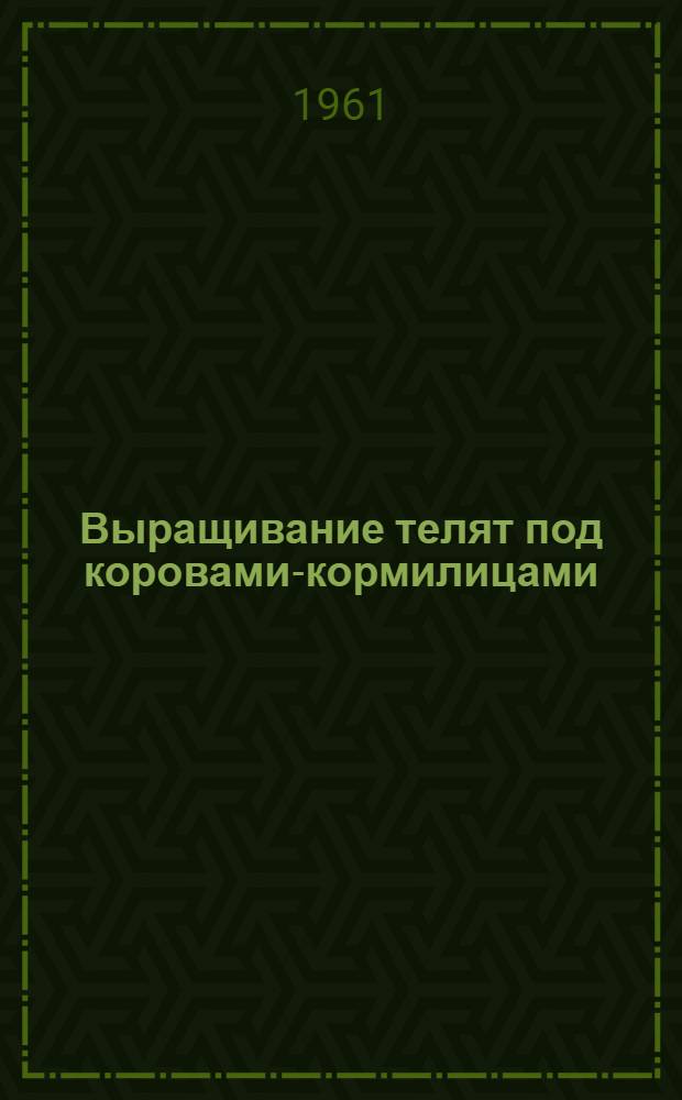 Выращивание телят под коровами-кормилицами