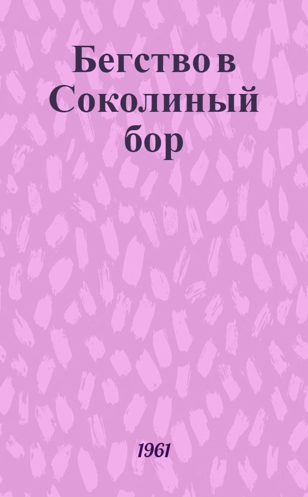 Бегство в Соколиный бор : Ист. повесть
