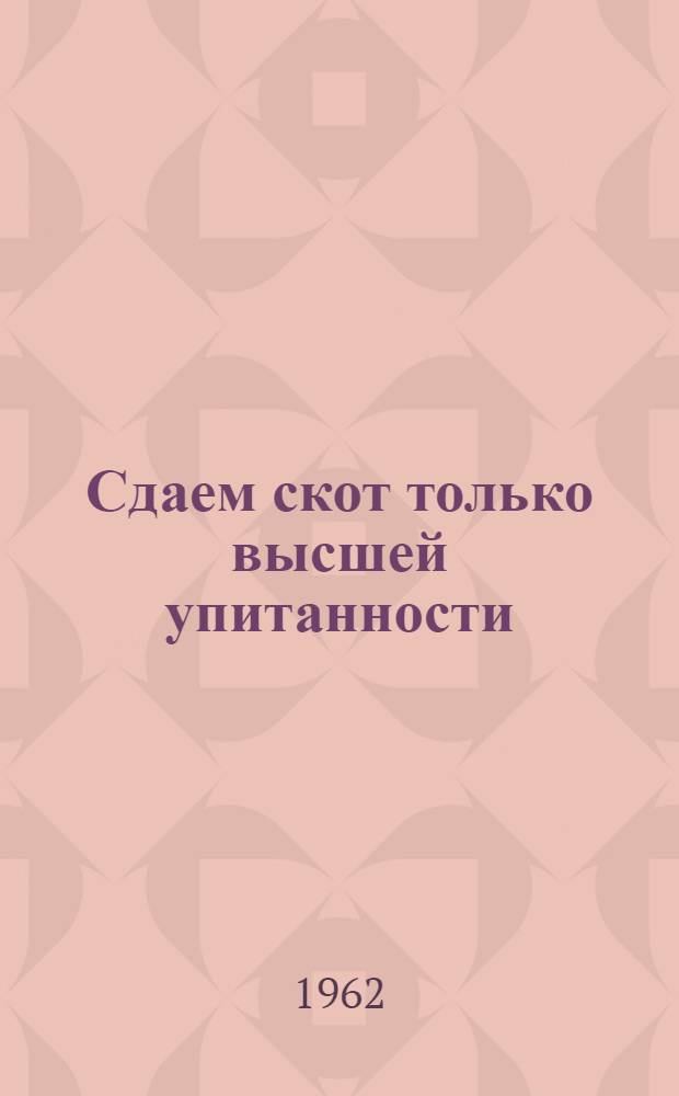 Сдаем скот только высшей упитанности