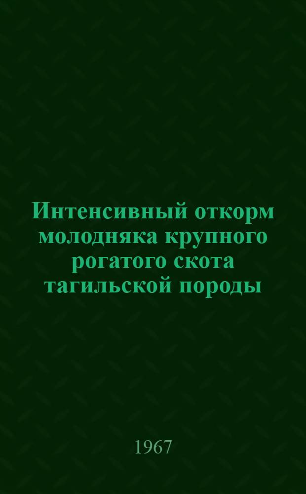 Интенсивный откорм молодняка крупного рогатого скота тагильской породы