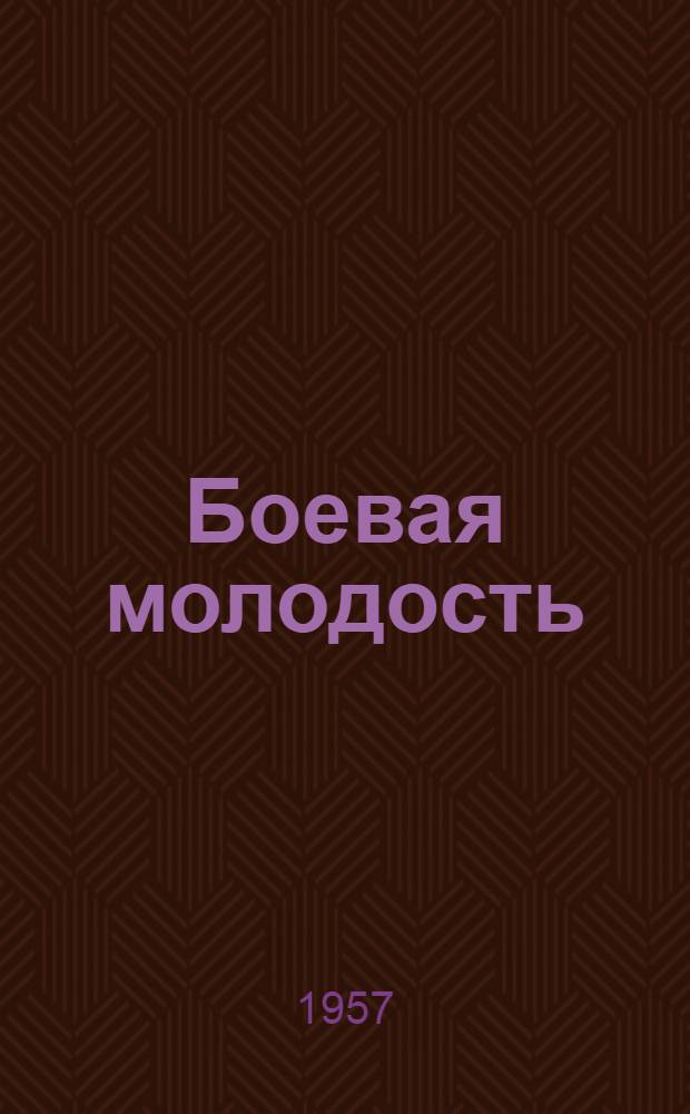 Боевая молодость : Роман