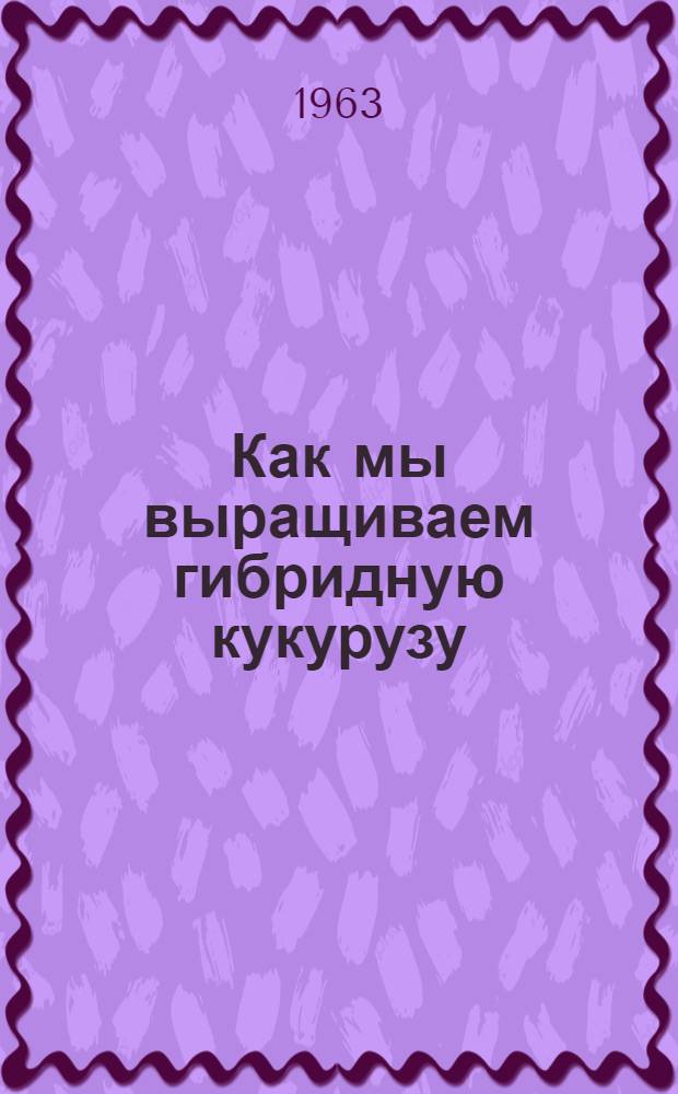 Как мы выращиваем гибридную кукурузу